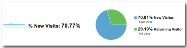 Percent New Visits - Google Analytics