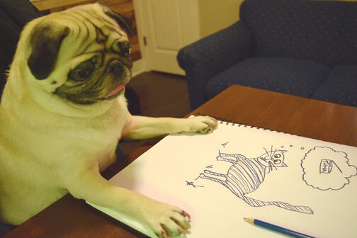 Pug drawing cat