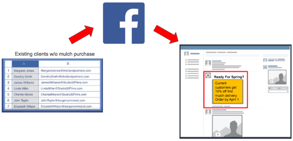 Facebook_Custom_Audience_Example_.png