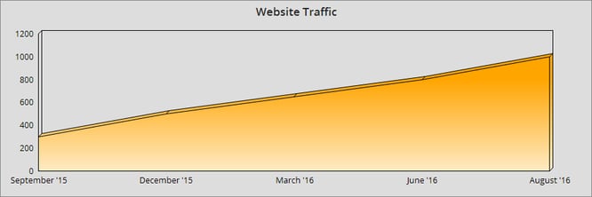 Website Traffic graph